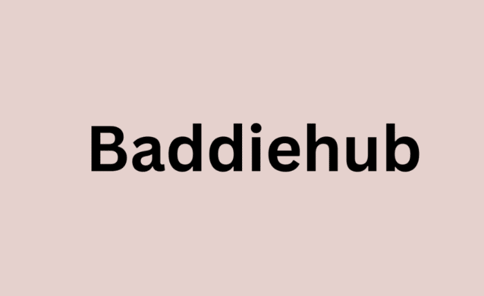 What Is Baddie Hub