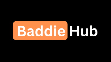 BaddieHub Video Downloader