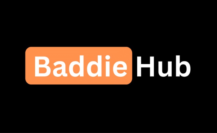 BaddieHub Video Downloader