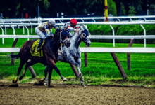 Horse Racing