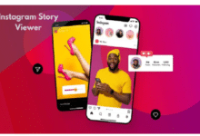 Instagram Story Viewer