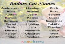 Badass Grandma Names