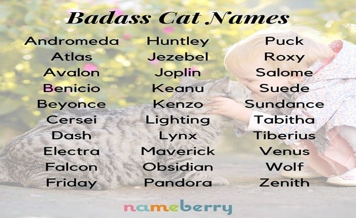 Badass Grandma Names