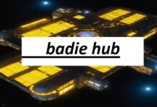 badie hub