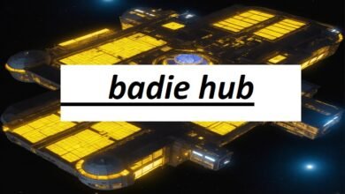 badie hub