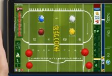 hibbett sports app