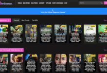 mkvcinemas com