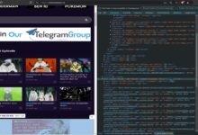 toonstream com