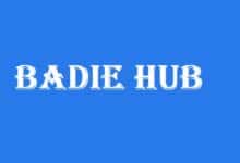 badie hub