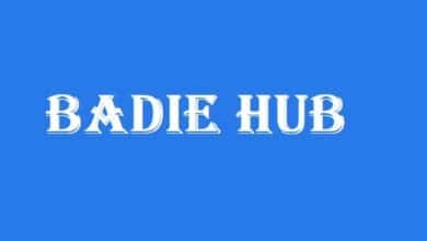 badie hub