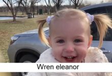 wren eleanor