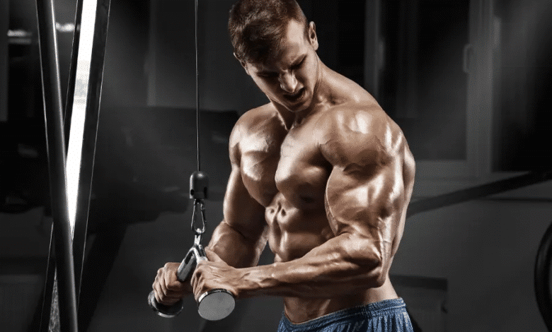 Maximize Your Fitness Potential with Bigboy-shop.com
