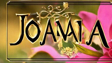 Hindi Font Download
