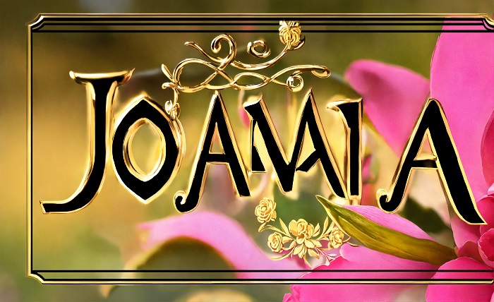 Hindi Font Download