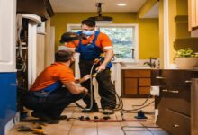 Pest Control in Pomona