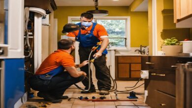 Pest Control in Pomona
