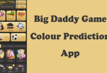 BDG Game Colour