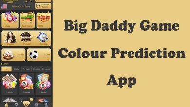 BDG Game Colour