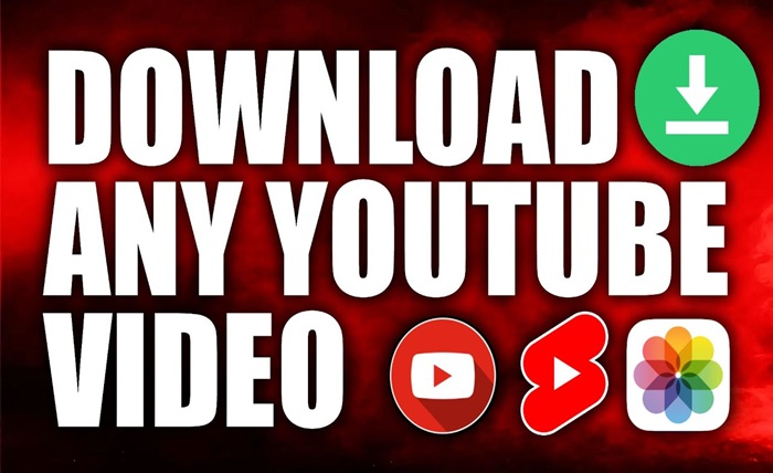 Download Videos